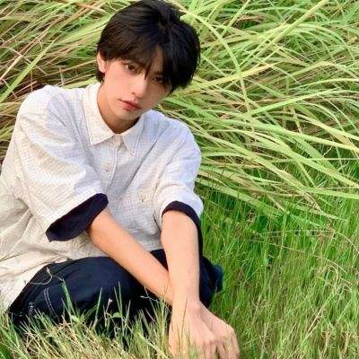 割草达人完整版